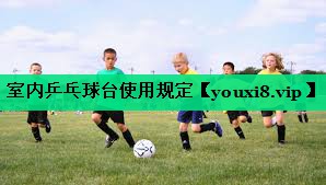 室内乒乓球台使用规定