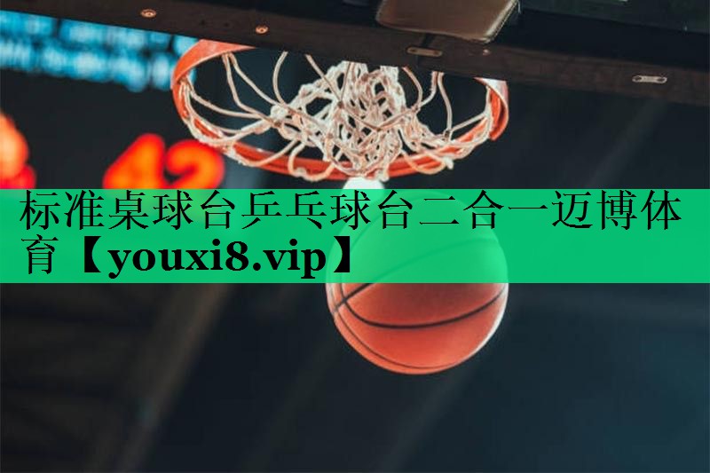 标准桌球台乒乓球台二合一迈博体育