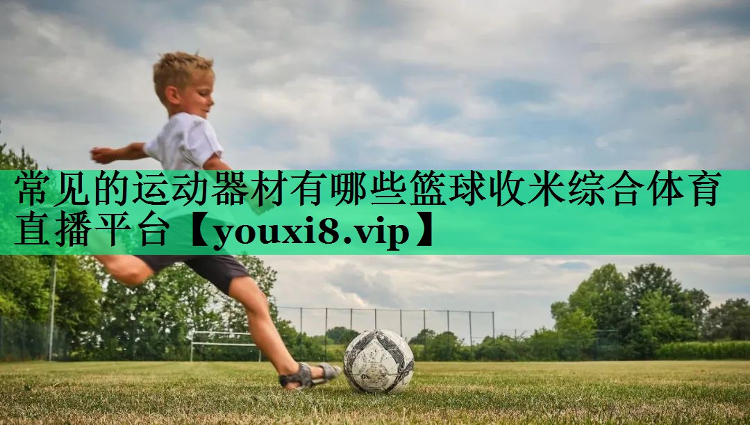 常见的运动器材有哪些篮球收米综合体育直播平台