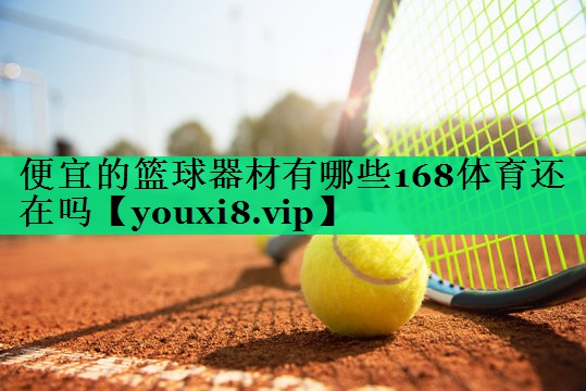 便宜的篮球器材有哪些168体育还在吗
