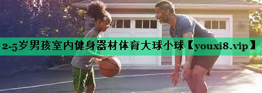 2-5岁男孩室内健身器材体育大球小球
