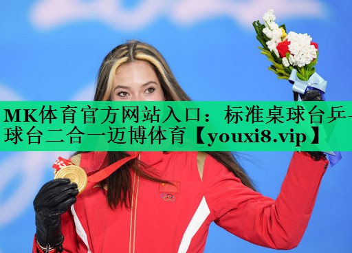 MK体育官方网站入口：标准桌球台乒乓球台二合一迈博体育