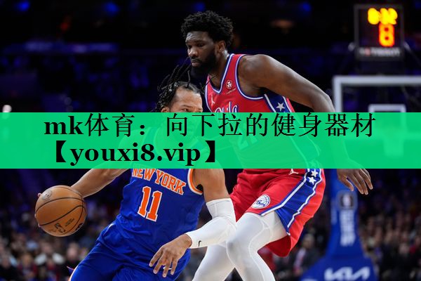 mk体育：向下拉的健身器材