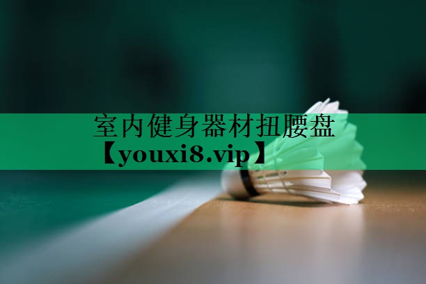 室内健身器材扭腰盘 室内健身器材扭腰盘