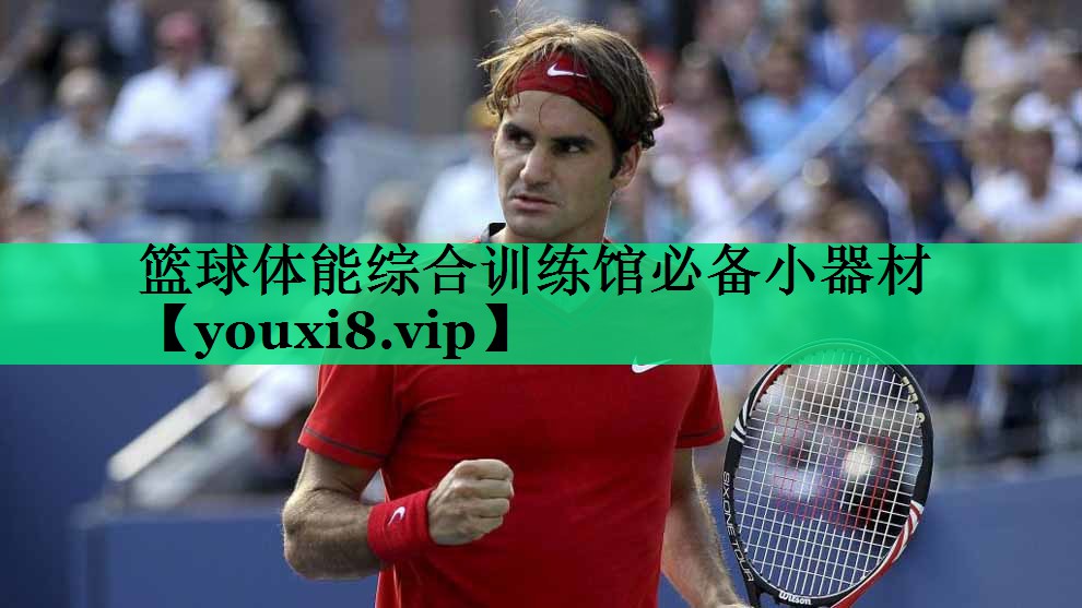 篮球体能综合训练馆必备小器材 篮球体能综合训练馆必备小器材